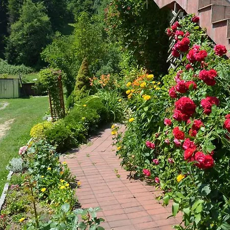 Alojamento de Turismo Rural 